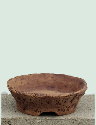 SD Bonsai Rustic Round Drum Pot 8 x 2