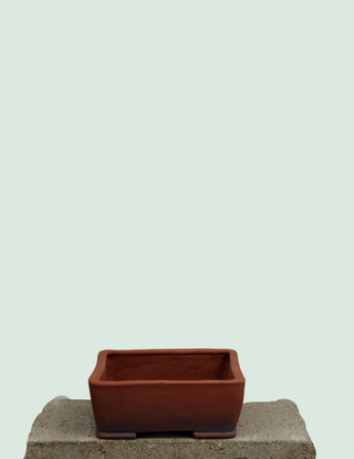 SD Bonsai Rustic Square Bonsai Pot 8 x 8.5 x2
